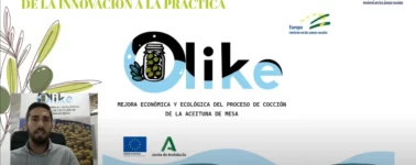 webinar_olike