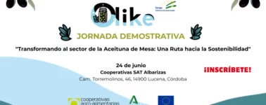 Transformando al sector de la Aceituna de Mesa Una Ruta hacia la Sostenibilidad (002)