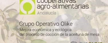 expoliva_2025